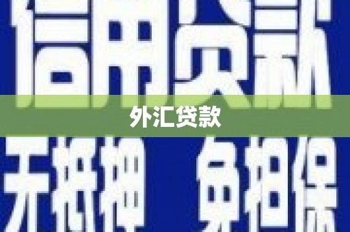 保康外汇贷款
