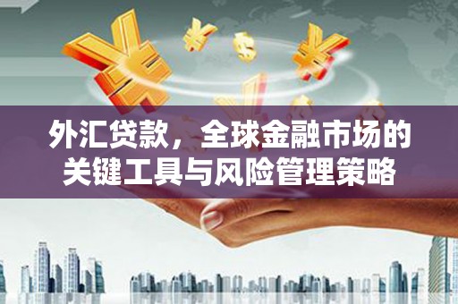 保康外汇贷款，全球金融市场的关键工具与风险管理策略