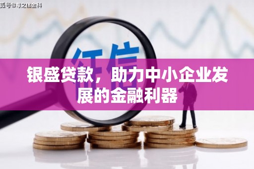 保康银盛贷款，助力中小企业发展的金融利器