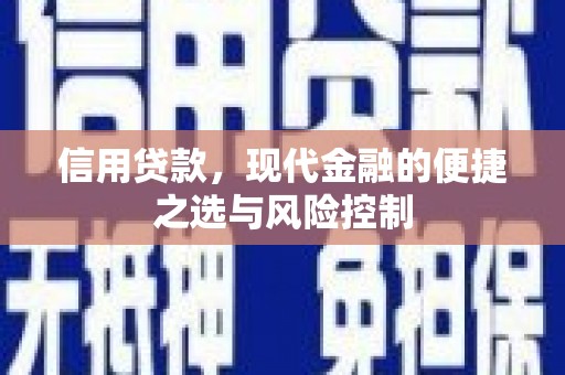 保康信用贷款，现代金融的便捷之选与风险控制