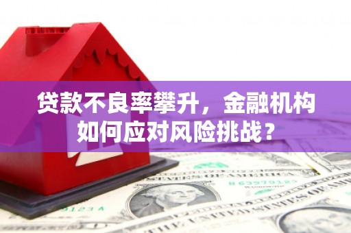 保康贷款不良率攀升，金融机构如何应对风险挑战？