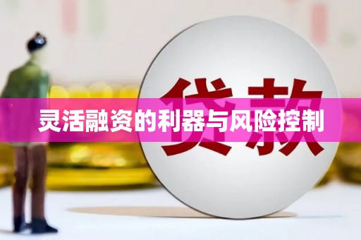 保康灵活融资的利器与风险控制
