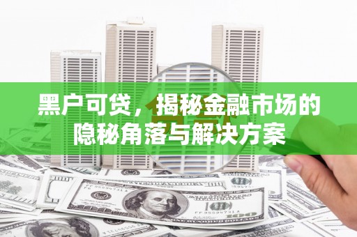 保康黑户可贷，揭秘金融市场的隐秘角落与解决方案