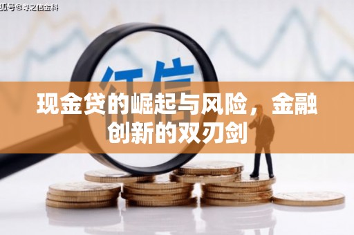 保康现金贷的崛起与风险，金融创新的双刃剑