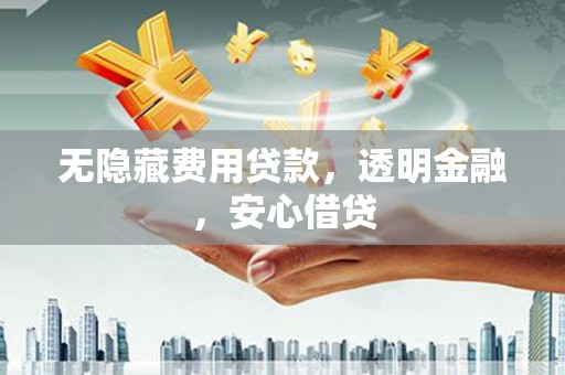 保康无隐藏费用贷款，透明金融，安心借贷