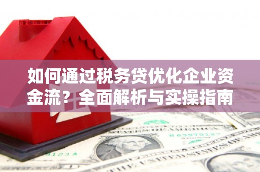 保康如何通过税务贷优化企业资金流？全面解析与实操指南