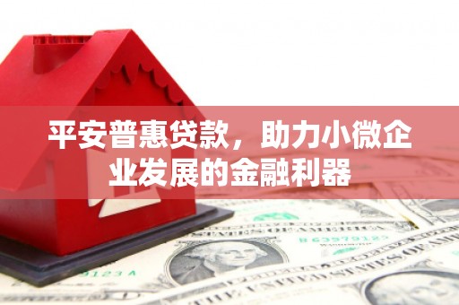 保康平安普惠贷款，助力小微企业发展的金融利器