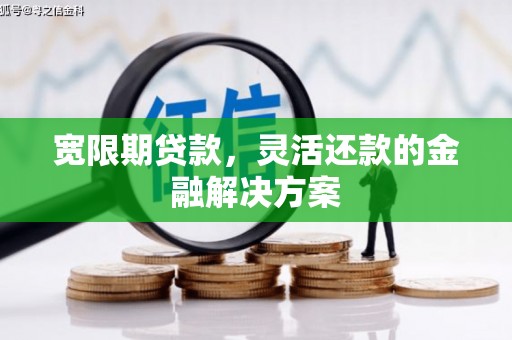 保康宽限期贷款，灵活还款的金融解决方案
