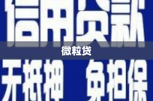 保康微粒贷