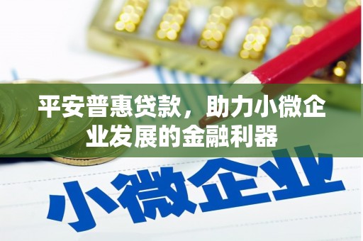 保康平安普惠贷款，助力小微企业发展的金融利器