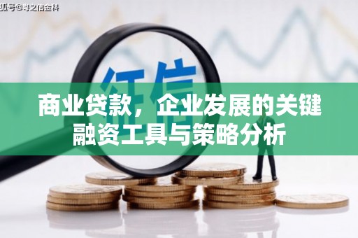 保康商业贷款，企业发展的关键融资工具与策略分析