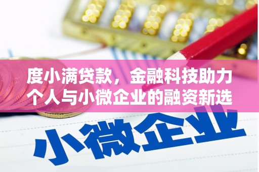 保康度小满贷款，金融科技助力个人与小微企业的融资新选择