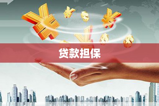 保康贷款担保