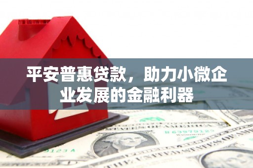 保康平安普惠贷款，助力小微企业发展的金融利器