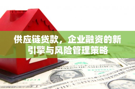 保康供应链贷款，企业融资的新引擎与风险管理策略