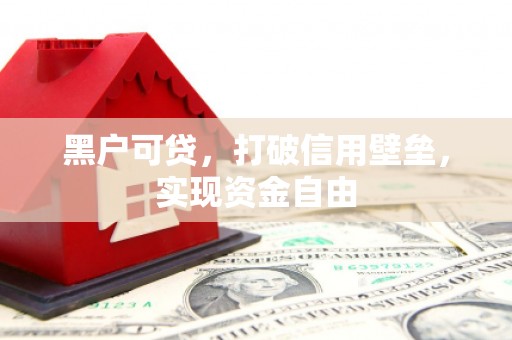 保康黑户可贷，打破信用壁垒，实现资金自由