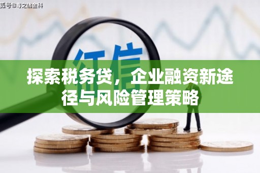 保康探索税务贷，企业融资新途径与风险管理策略
