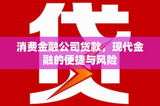 保康消费金融公司贷款，现代金融的便捷与风险
