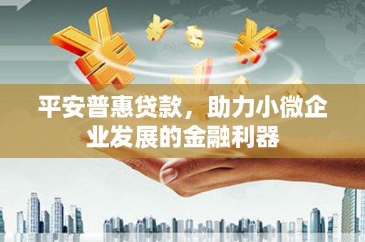 保康平安普惠贷款，助力小微企业发展的金融利器