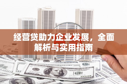 保康经营贷助力企业发展，全面解析与实用指南