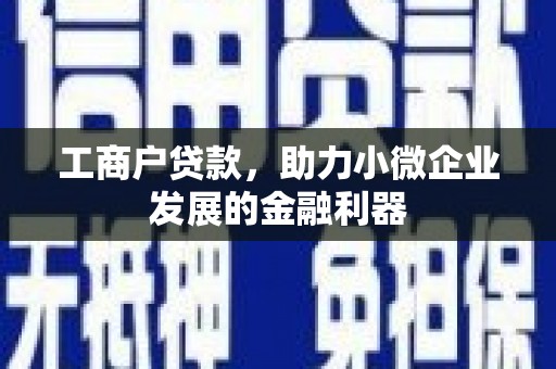 保康工商户贷款，助力小微企业发展的金融利器