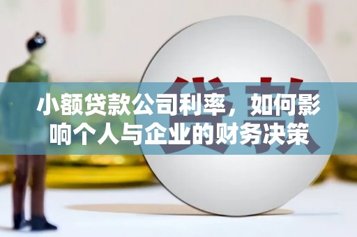 保康小额贷款公司利率，如何影响个人与企业的财务决策