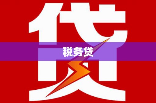 保康税务贷