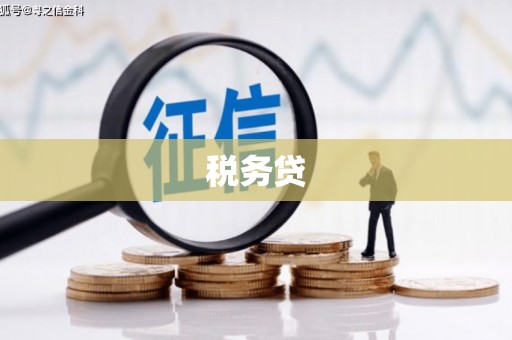 保康税务贷