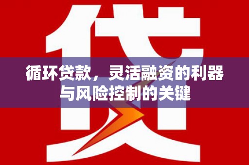 保康循环贷款，灵活融资的利器与风险控制的关键