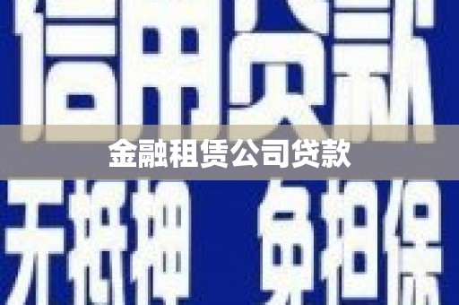 保康金融租赁公司贷款