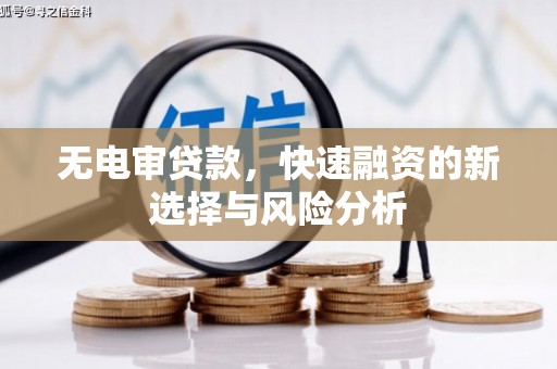保康无电审贷款，快速融资的新选择与风险分析
