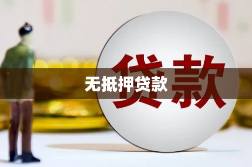保康无抵押贷款
