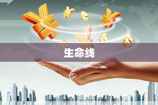 保康生命线