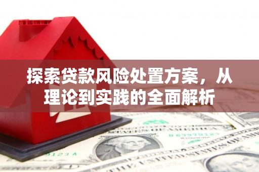 保康探索贷款风险处置方案，从理论到实践的全面解析