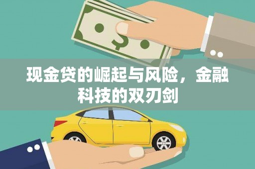 保康现金贷的崛起与风险，金融科技的双刃剑