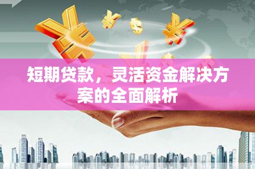 保康短期贷款，灵活资金解决方案的全面解析