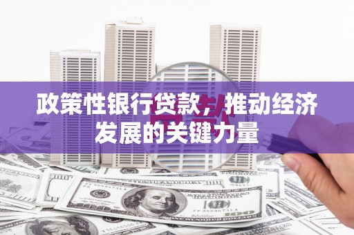 保康政策性银行贷款，推动经济发展的关键力量