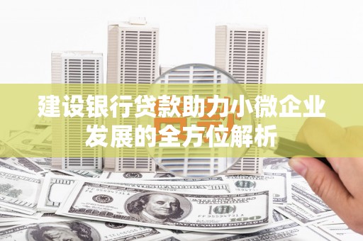 保康建设银行贷款助力小微企业发展的全方位解析