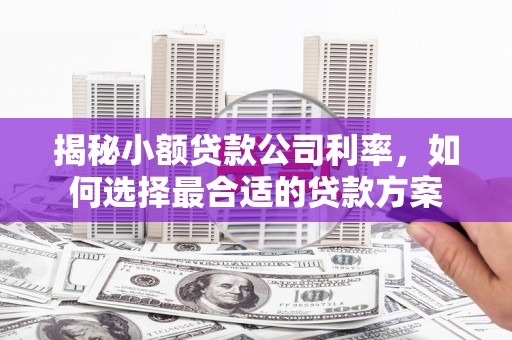 保康揭秘小额贷款公司利率，如何选择最合适的贷款方案