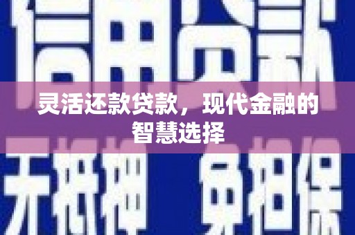 保康灵活还款贷款，现代金融的智慧选择