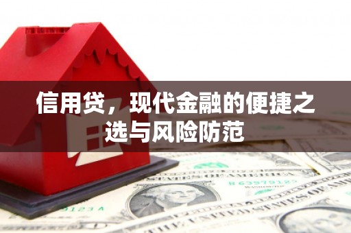 保康信用贷，现代金融的便捷之选与风险防范