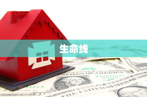 保康生命线