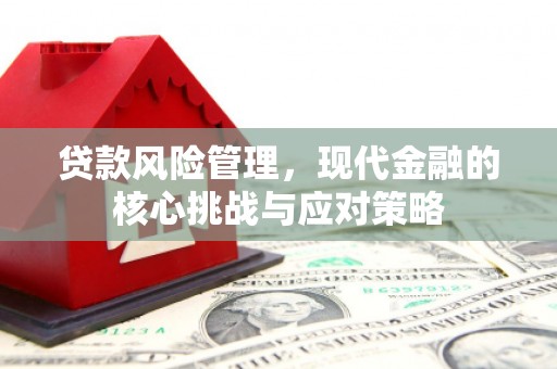 保康贷款风险管理，现代金融的核心挑战与应对策略