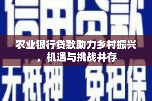 保康农业银行贷款助力乡村振兴，机遇与挑战并存