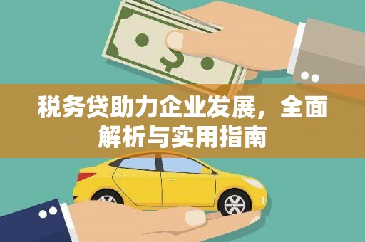 保康税务贷助力企业发展，全面解析与实用指南