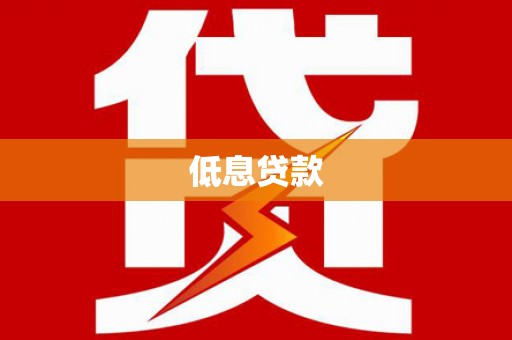 保康低息贷款