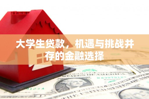 保康大学生贷款，机遇与挑战并存的金融选择