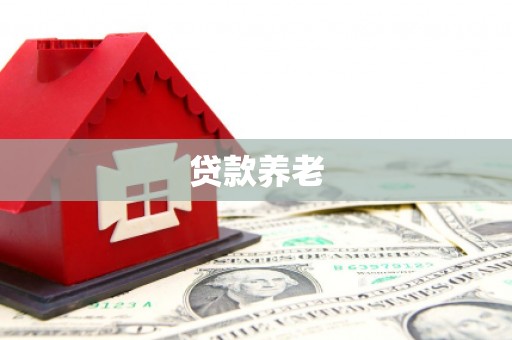 保康贷款养老