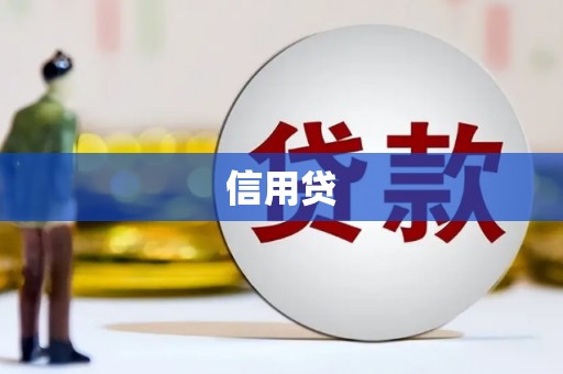 保康信用贷