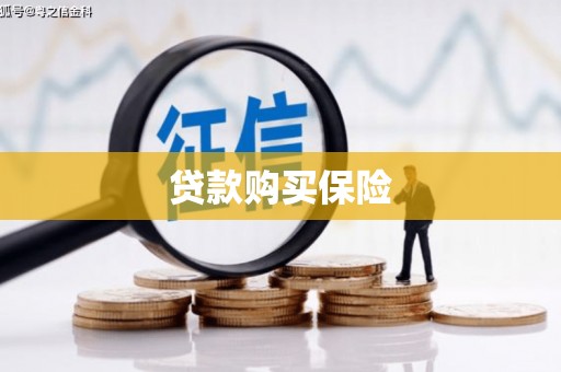 保康贷款购买保险